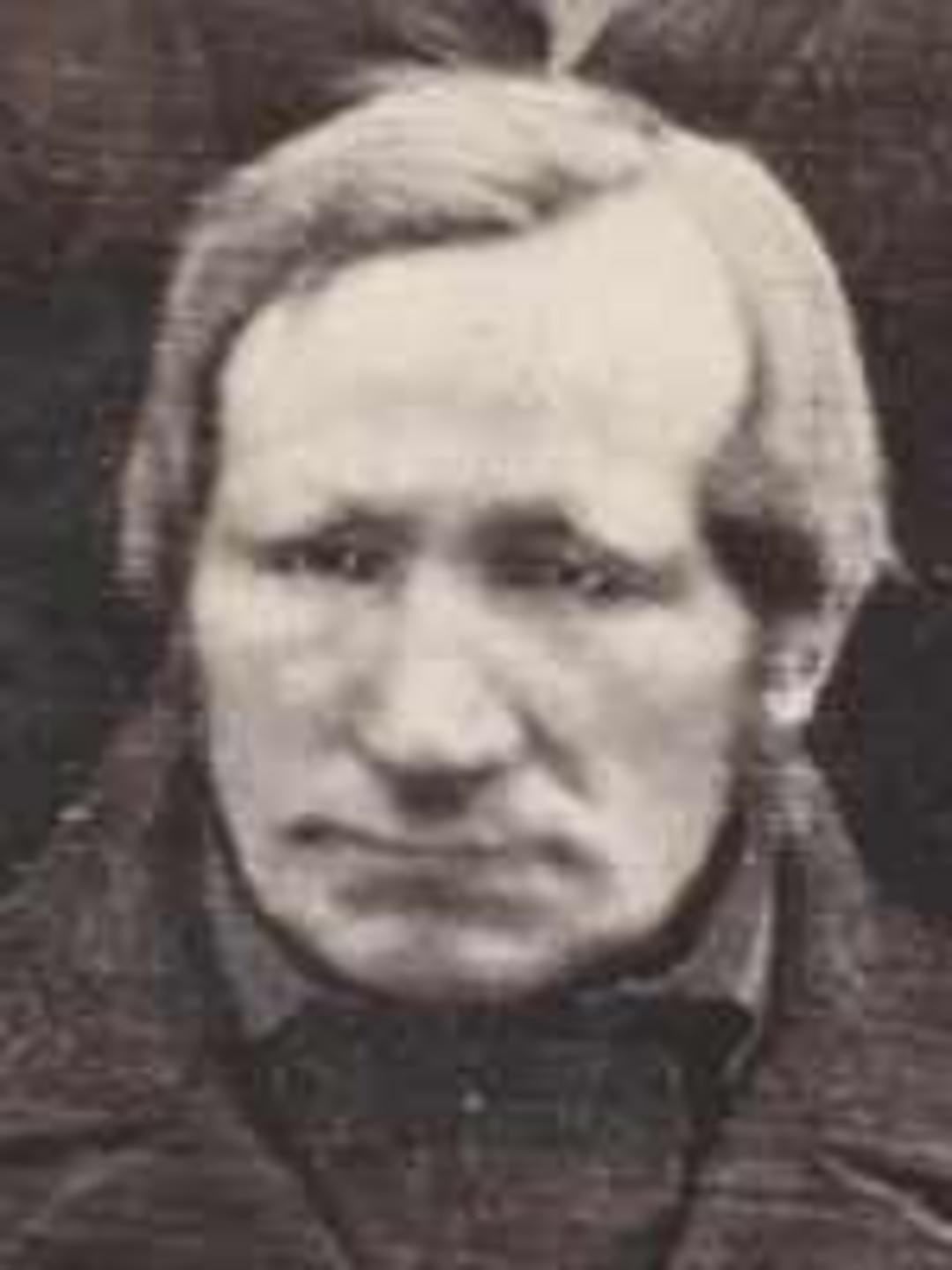 Bendt Nielsen (1796 - 1862) Profile